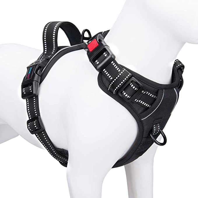 blind dog harness