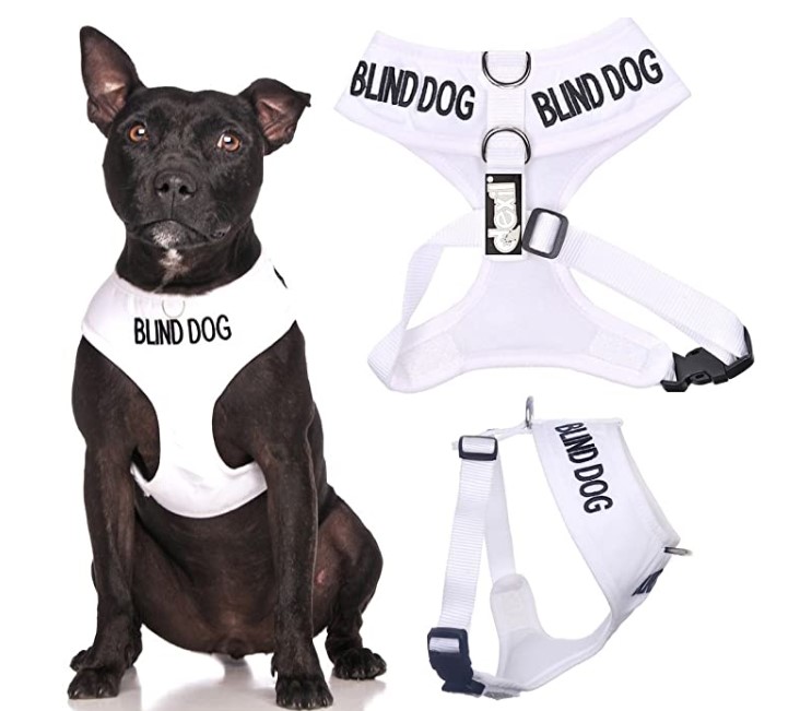 blind harness
