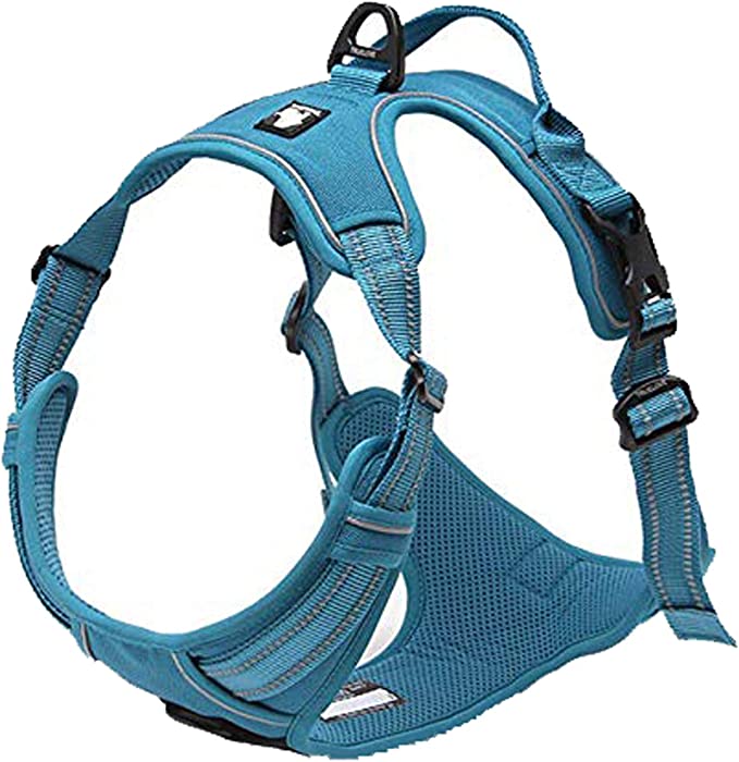 blind dog harness