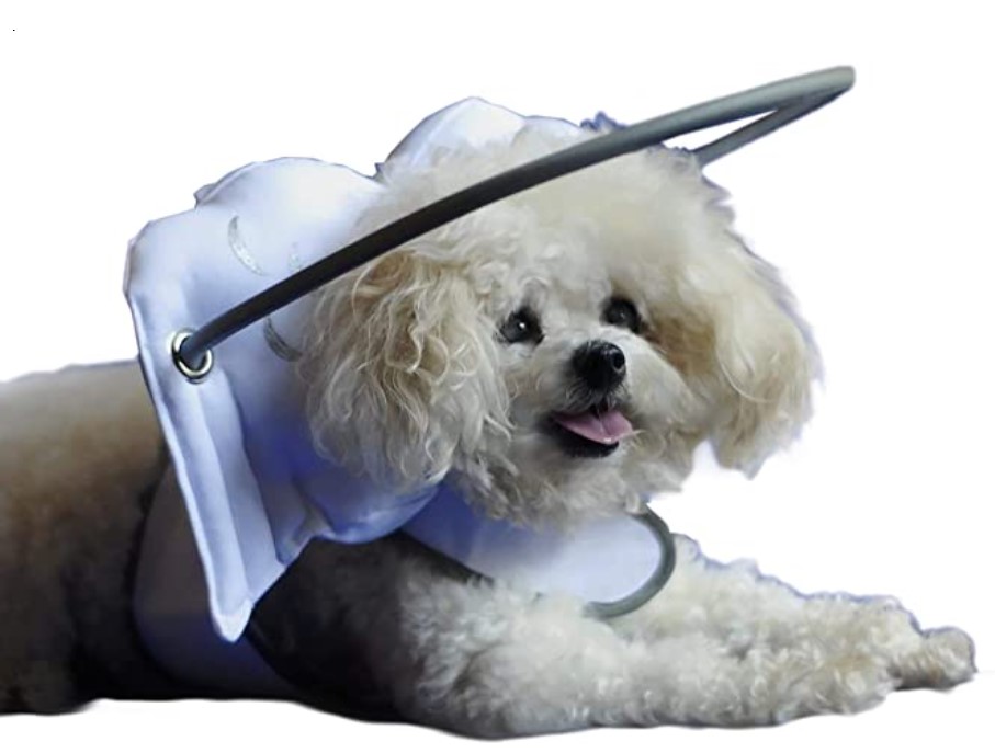 dog halo