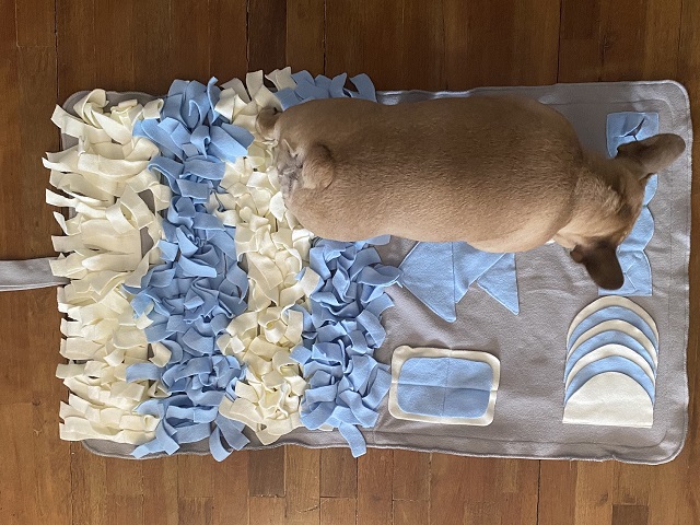 Snuffle Mat Toy